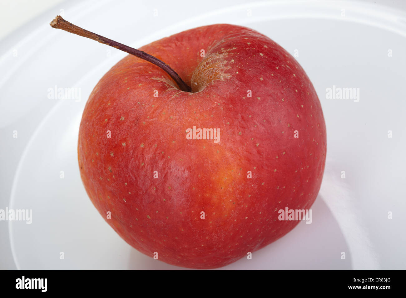 Red Apple (Malus domestica), Boskoop variety on a white plate Stock Photo