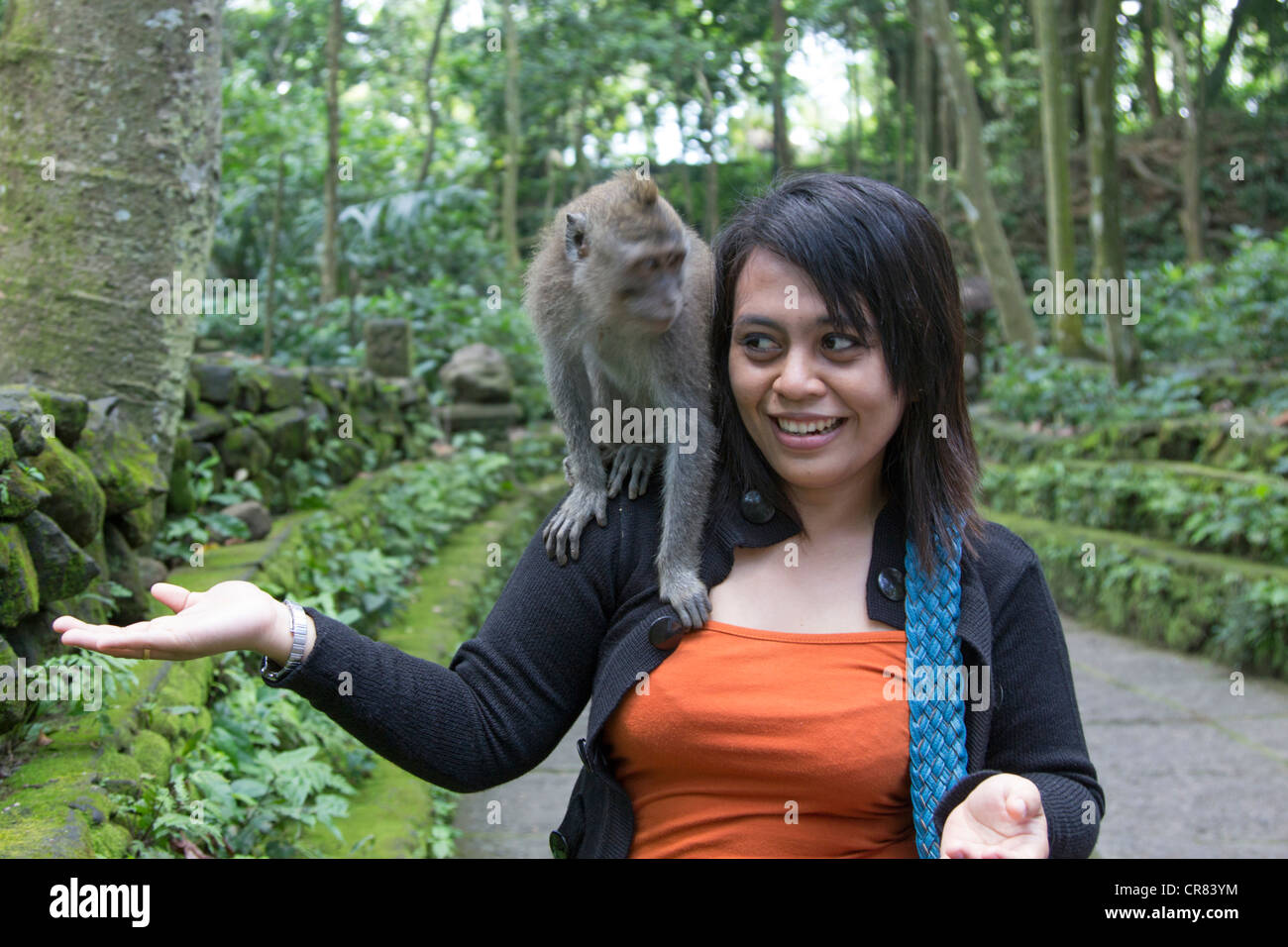 Sacred Monkey Forest of Padangtegal - Ubud - Bali Stock Photo
