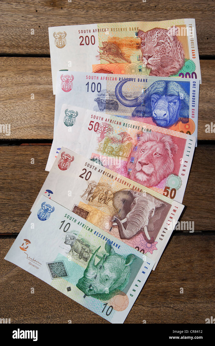 Convert Polish Zloty To South African Rand PLN To ZAR 43 OFF