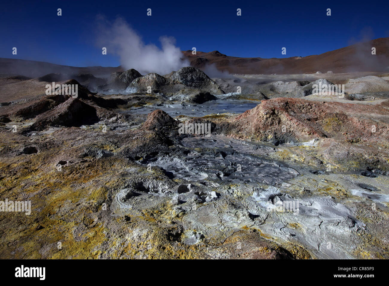 Sol de Manana geothermal field, Manana in Andina Eduardo Abaro National Park, Altiplano, Potosi, southern Bolivia, South America Stock Photo