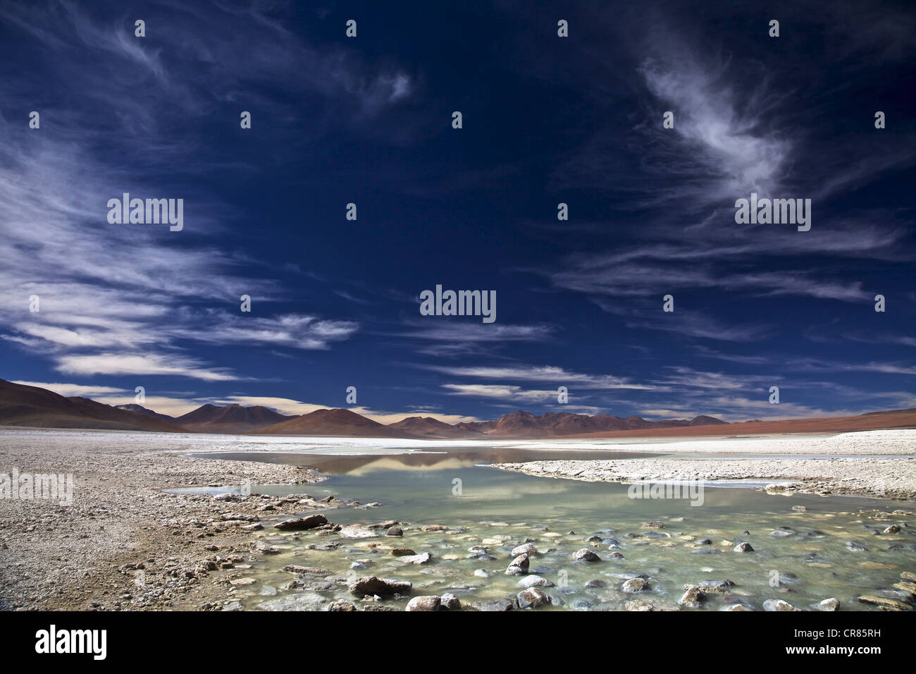 Laguna Blanca, Andina Eduardo Abaro National Park, Altiplano, Potosi, southern Bolivia, South America Stock Photo