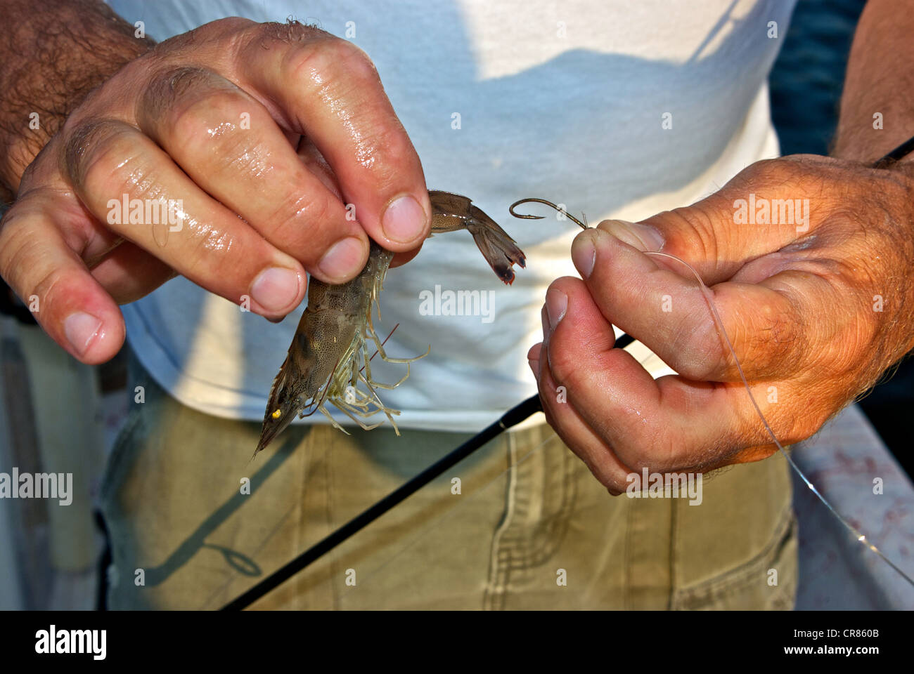Barbed fish hook hi-res stock photography and images - Alamy