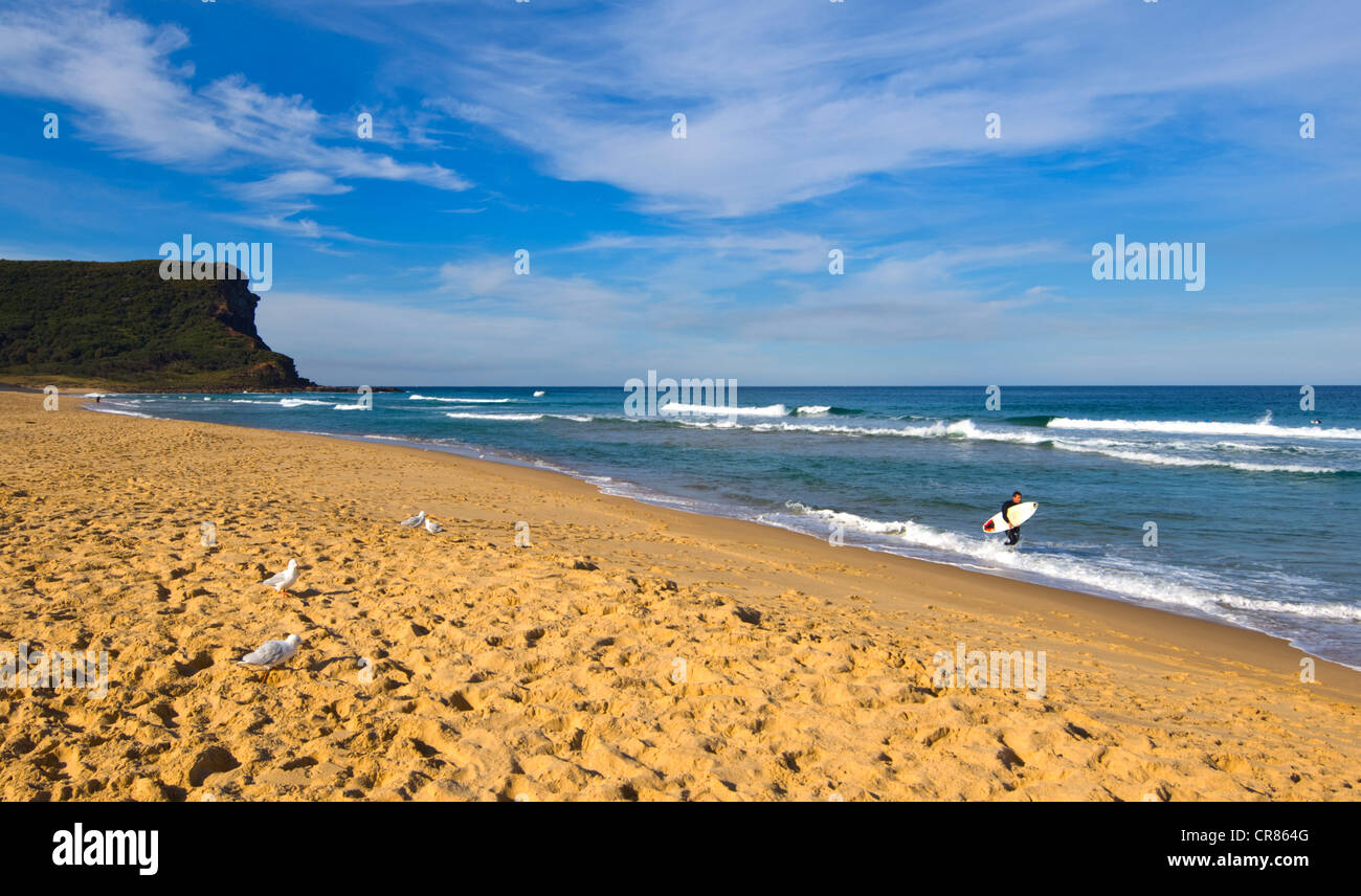 Garie Beach, Royal National Park, Sydney, New South Wales, NSW, Australia Stock Photo