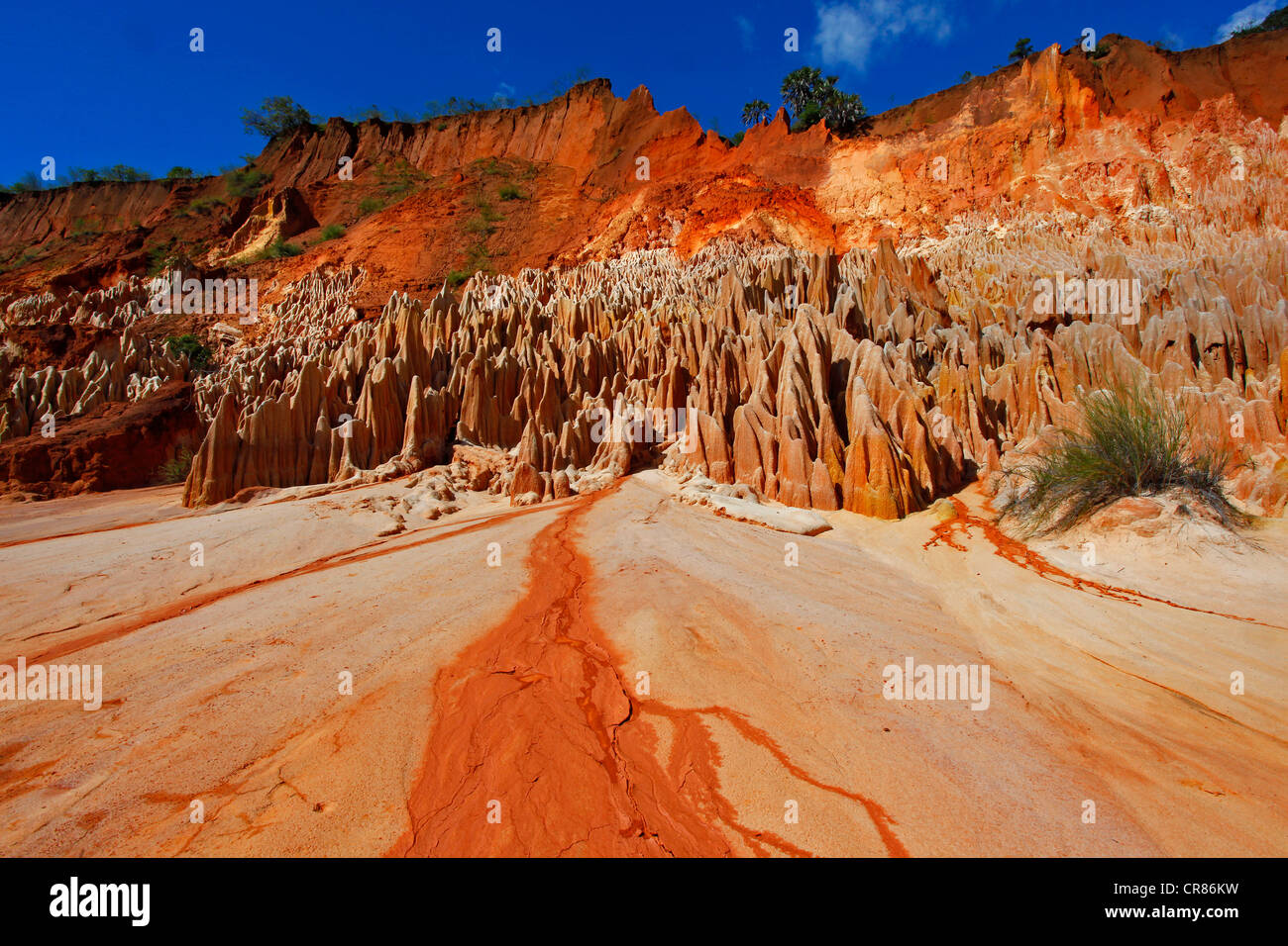 Tsingy Rouge Limestone Formations Analamera Madagascar Africa Stock Photo Alamy