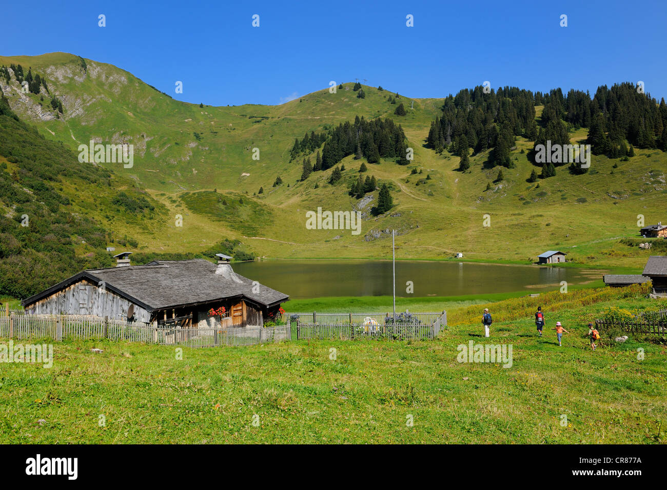 Switzerland, Canton of Vaud, Villars sur Ollon, hamlet of Bretaye Stock Photo