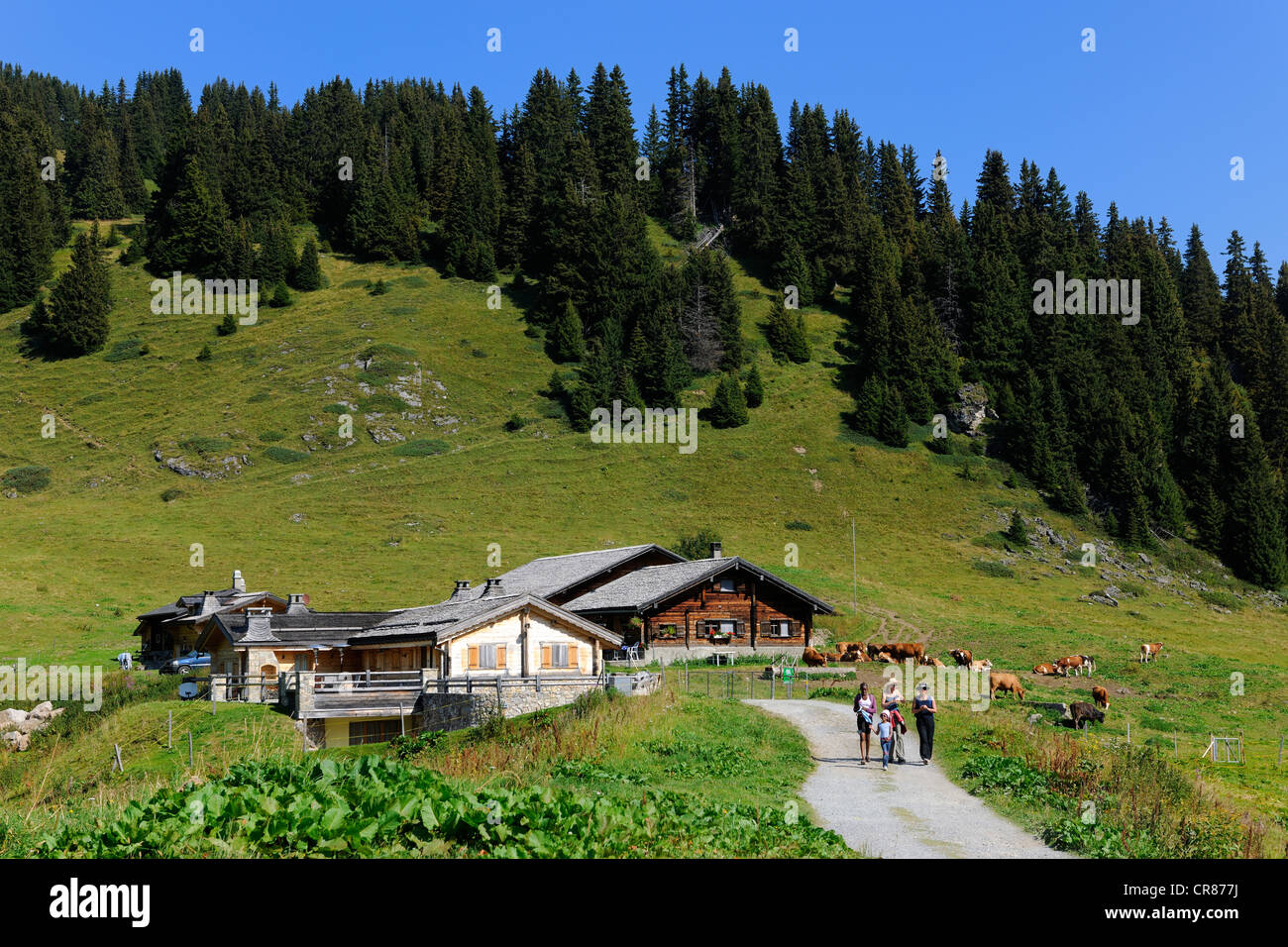 Switzerland, Canton of Vaud, Villars sur Ollon, hamlet of Bretaye, hikkers Stock Photo