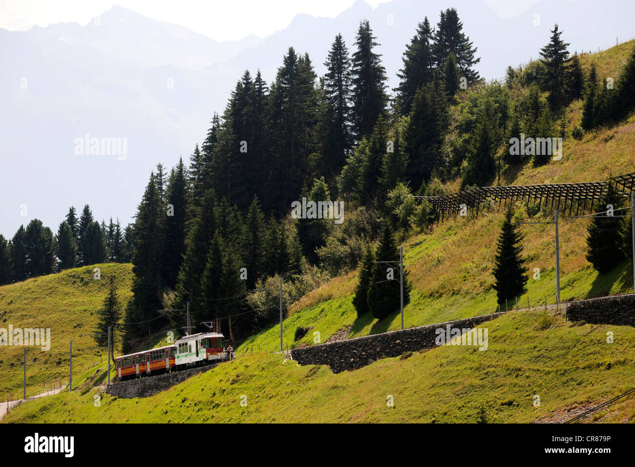 Switzerland, Canton of Vaud, Villars sur Ollon, train joining the railway station of Bretaye Stock Photo