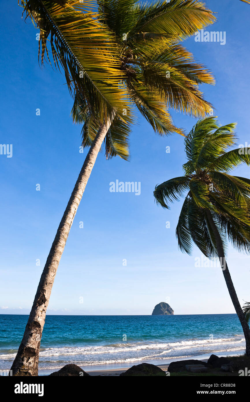 Le diamant hires stock photography and images Alamy