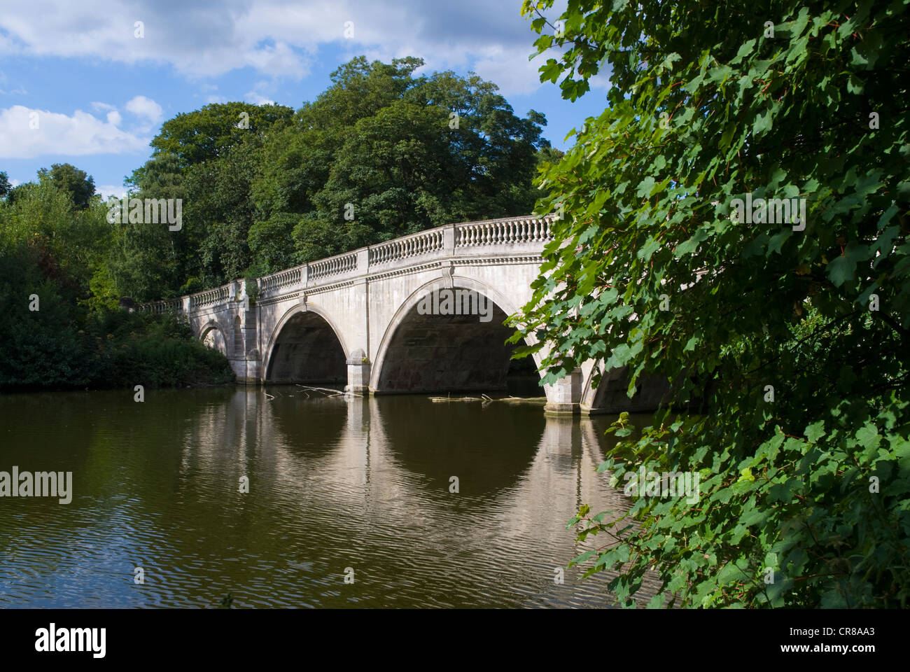 United Kingdom, East Midlands, Nottinghamshire, Sherwood Forest Park