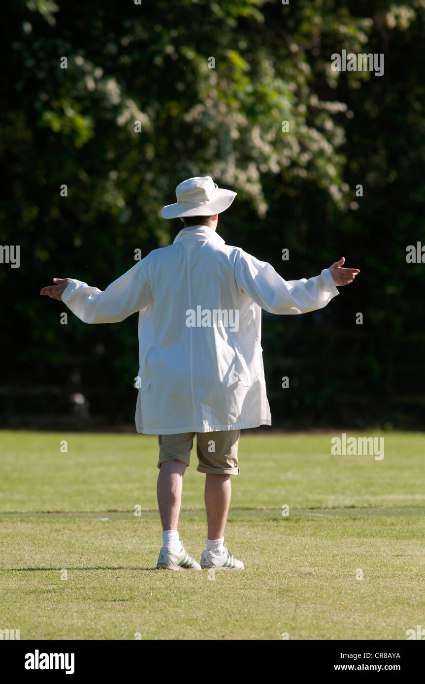 Village cricket umpire signalling wide ball Stock Photo