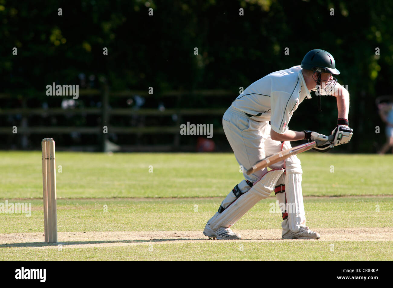 Village cricket at Great Alne Stock Photo Alamy