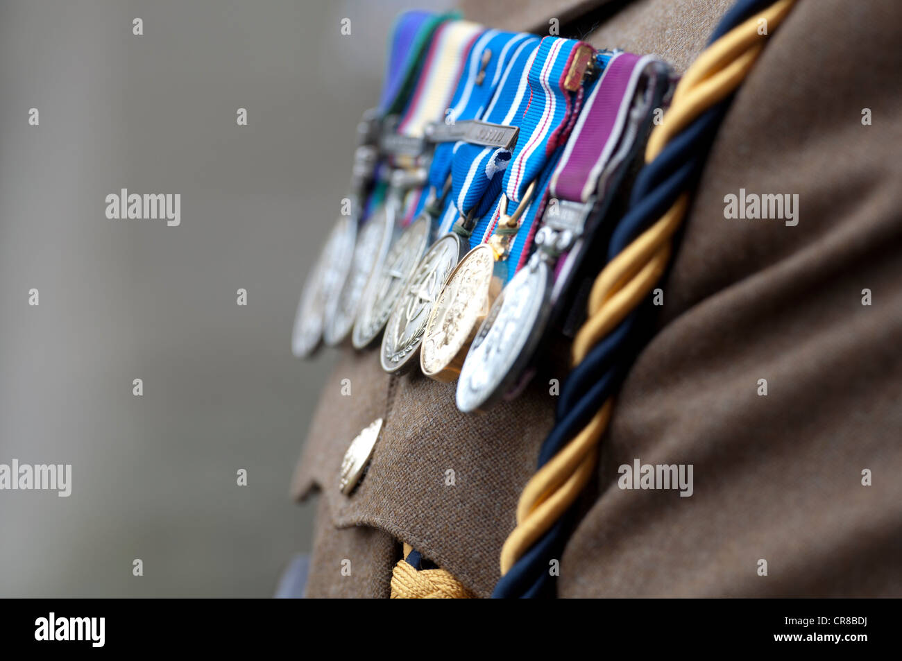 Soldier wearing medals Stock Photo