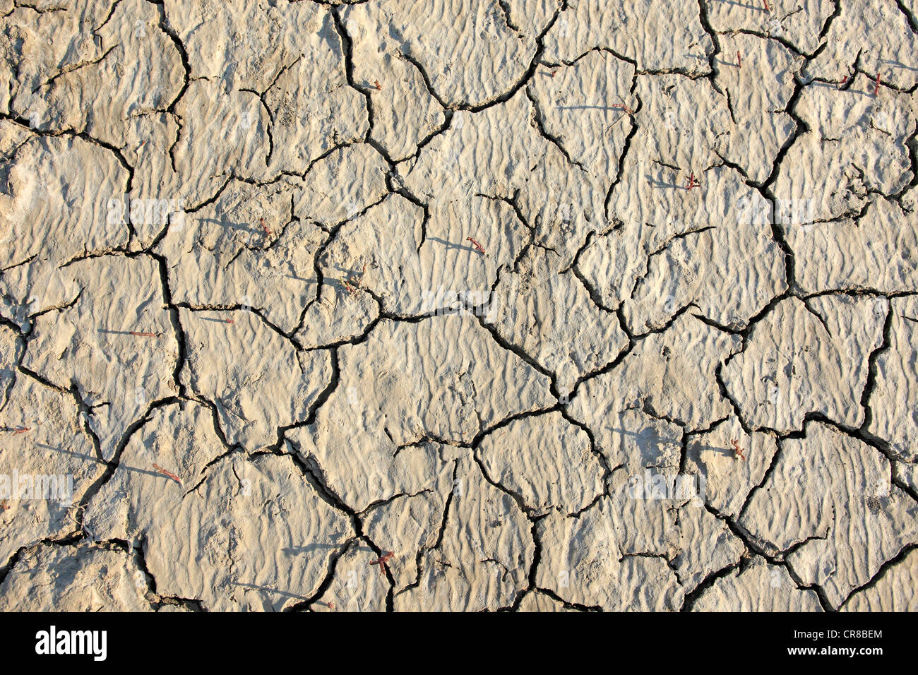 Parched soil surface, Saintes-Marie-de-la-Mer, Bouches du Rhone, Camargue, France, Europe Stock Photo