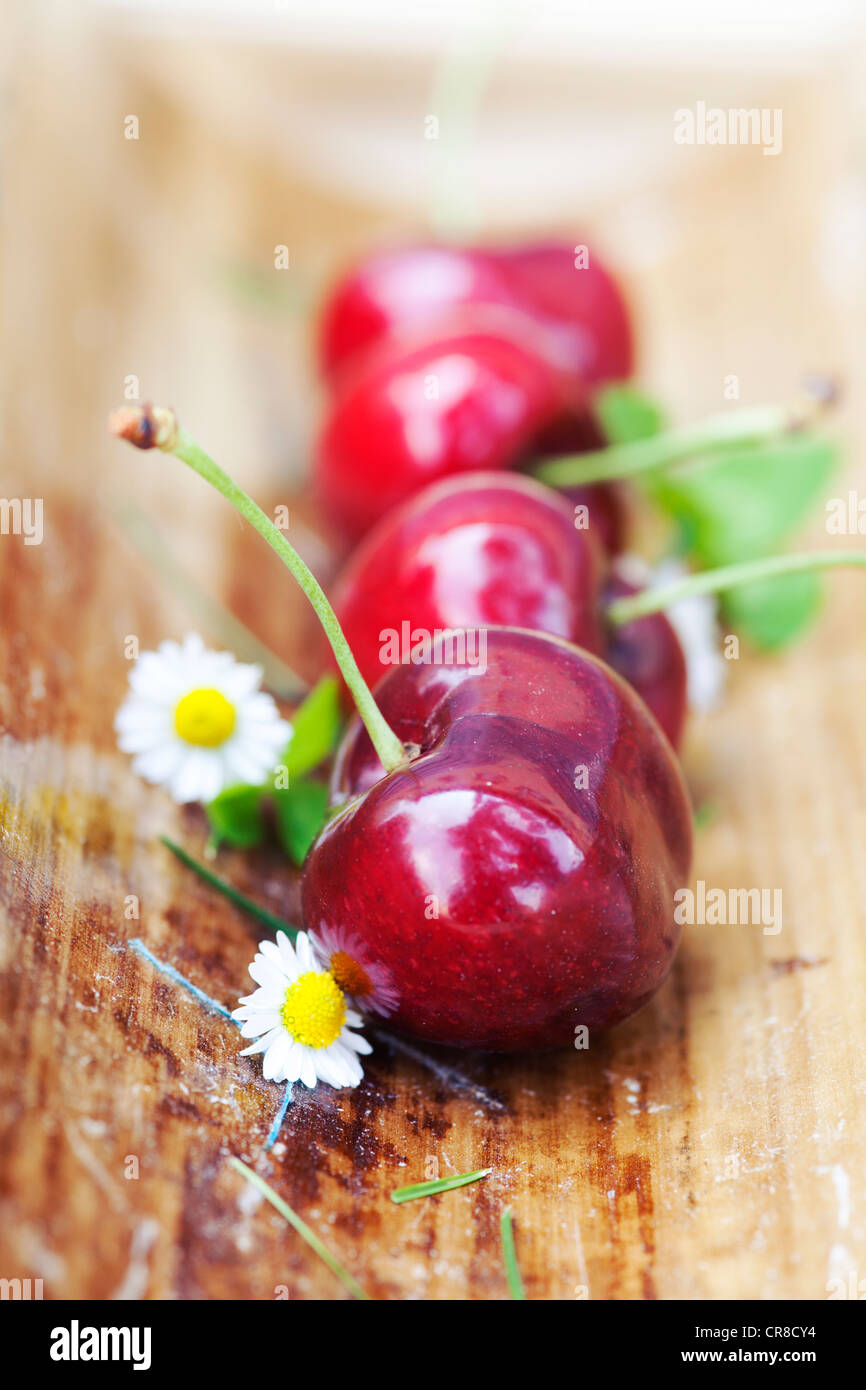 Vignola red Cherries igp Italy Stock Photo