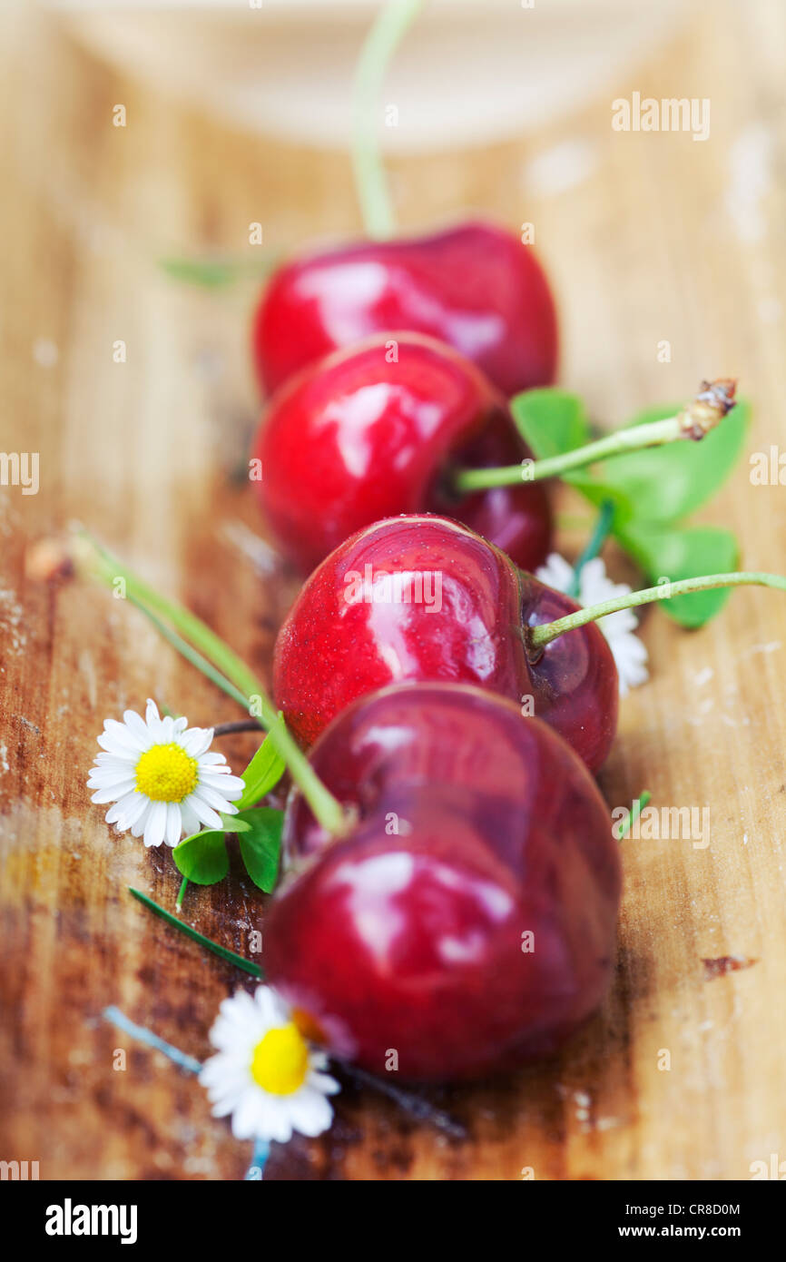 Vignola red Cherries igp Italy Stock Photo