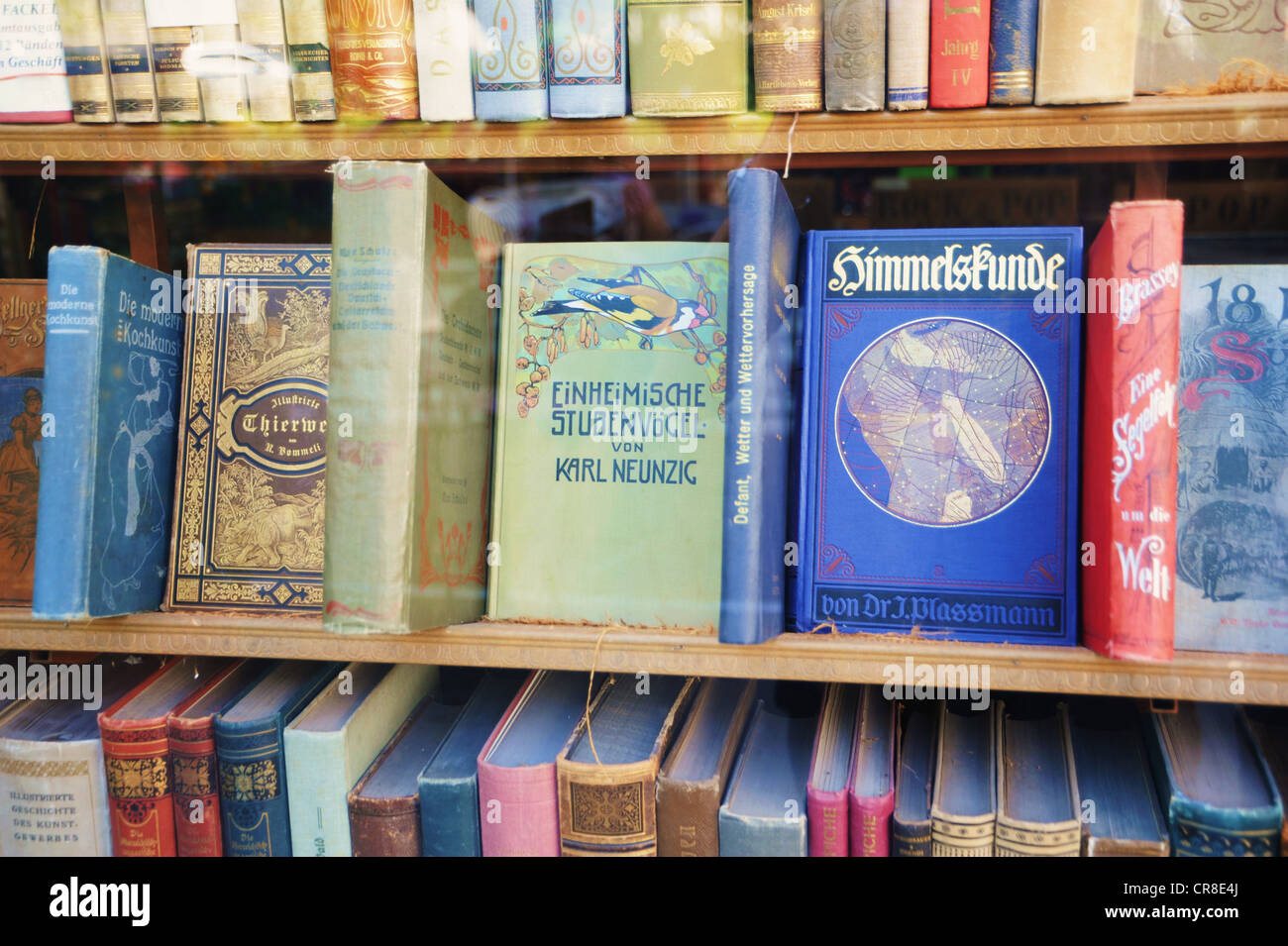 Bookshelf, book store in the historic centre of Vienna, Austria, Europe Stock Photo Alamy