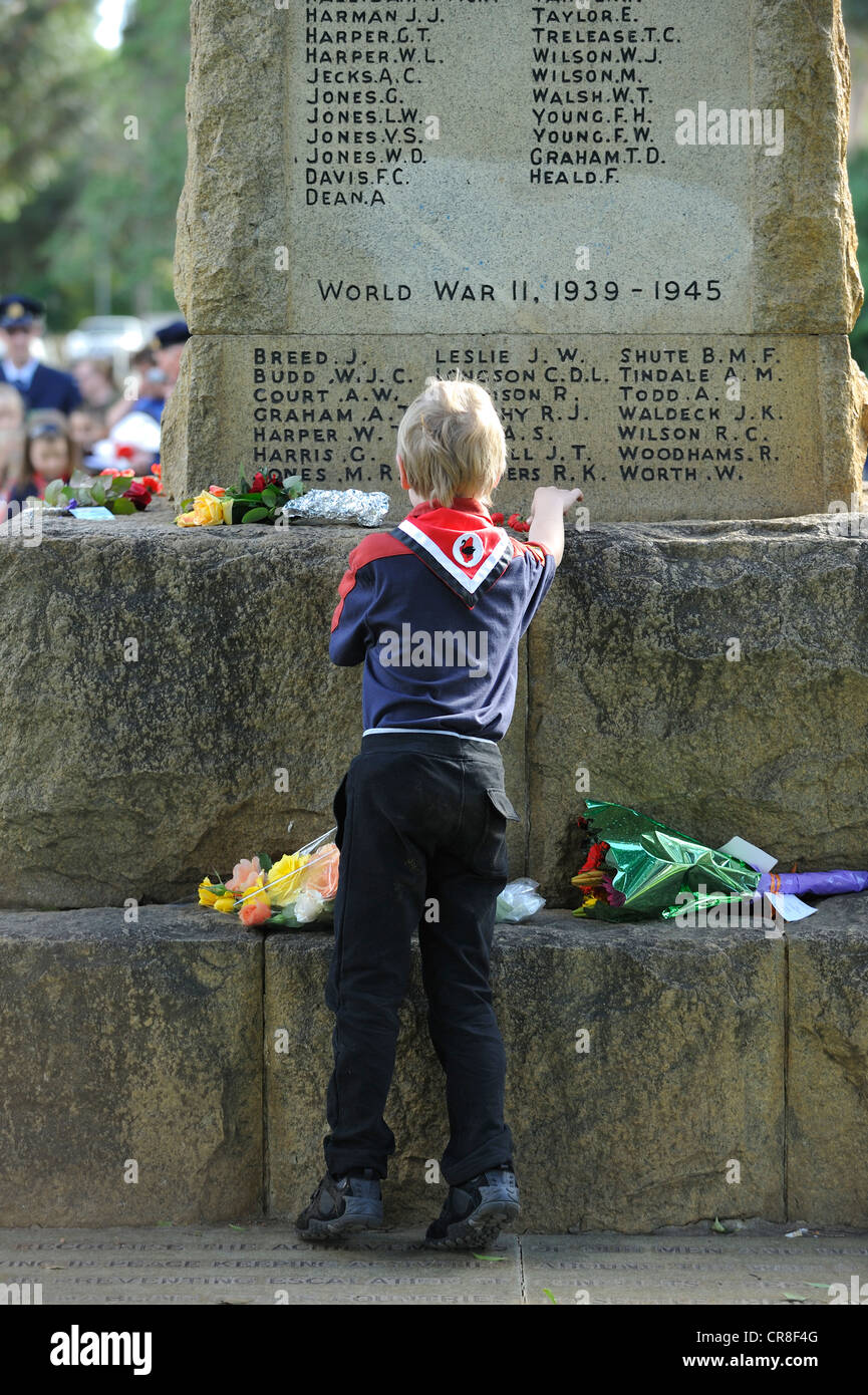Child placing Peace Poppy on War Memorial on Anzac Day. Guildford, Western Australia. Stock Photo