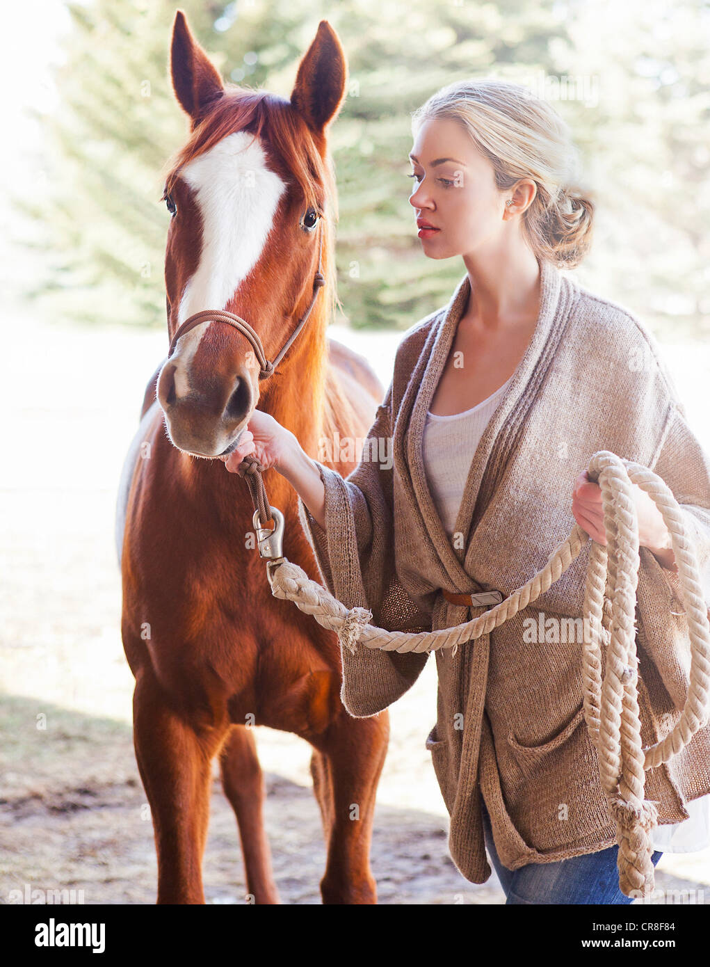 Young woman looking after horse on farm Stock Photo Alamy