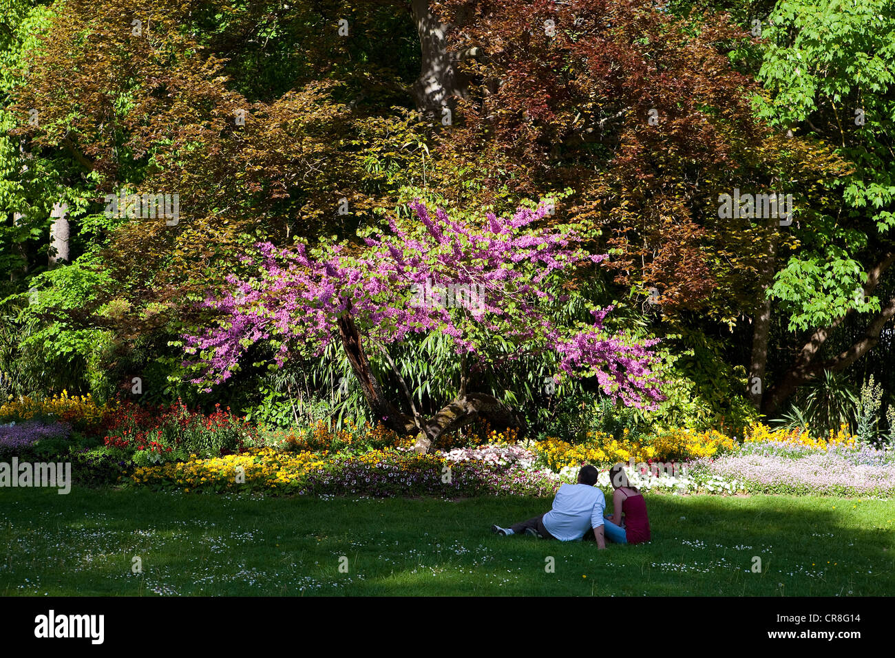 France Tarn Et Garonne Montauban Blooming In The Jardin Des Stock Photo Alamy