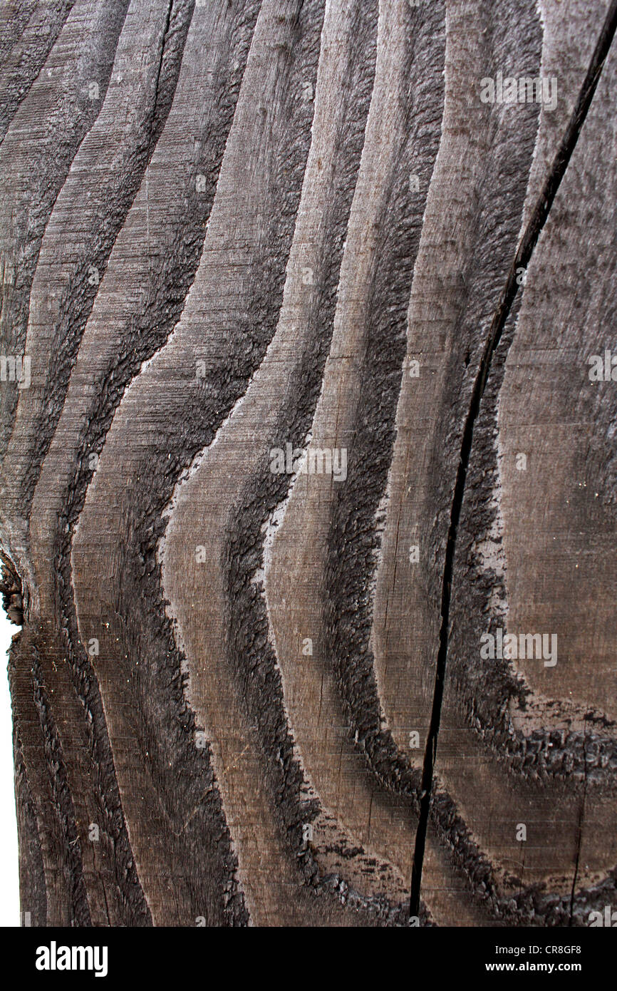 close up section of a wooden plank Stock Photo