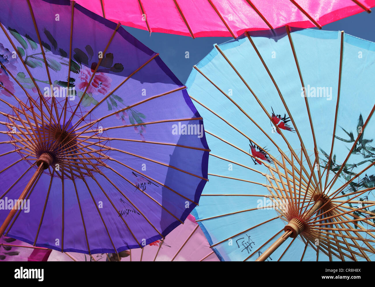 Chinese Parasol's Stock Photo