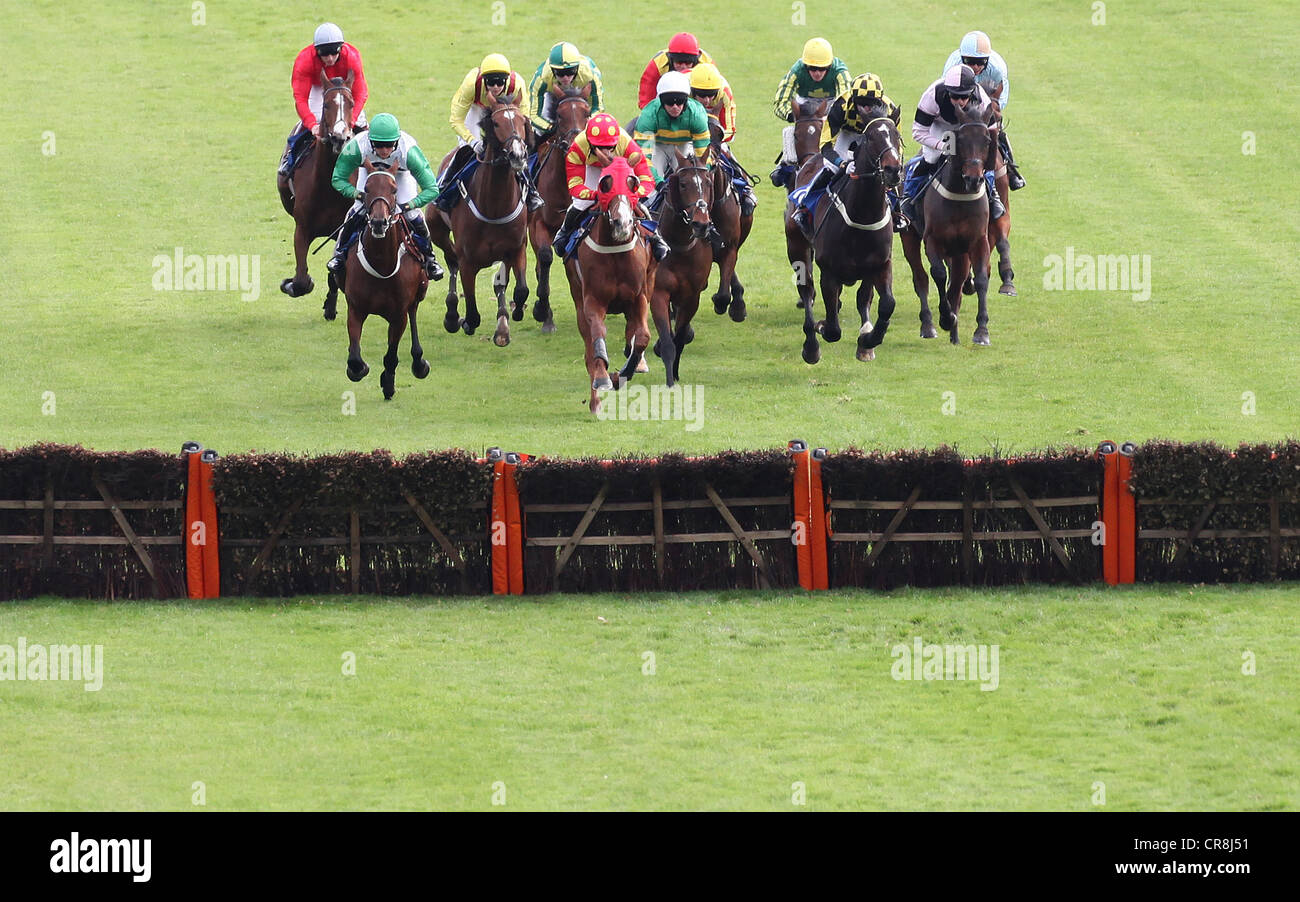 Racing and james hunt hi-res stock photography and images - Alamy