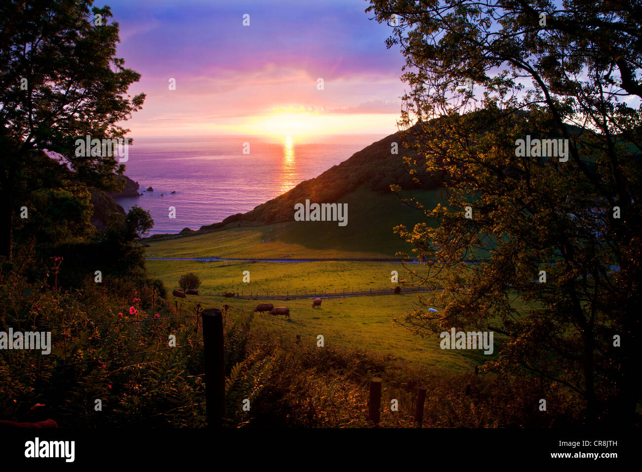 A summer sunset over Lee Bay near Lynton and Lynmouth, north Devon, England, UK Stock Photo