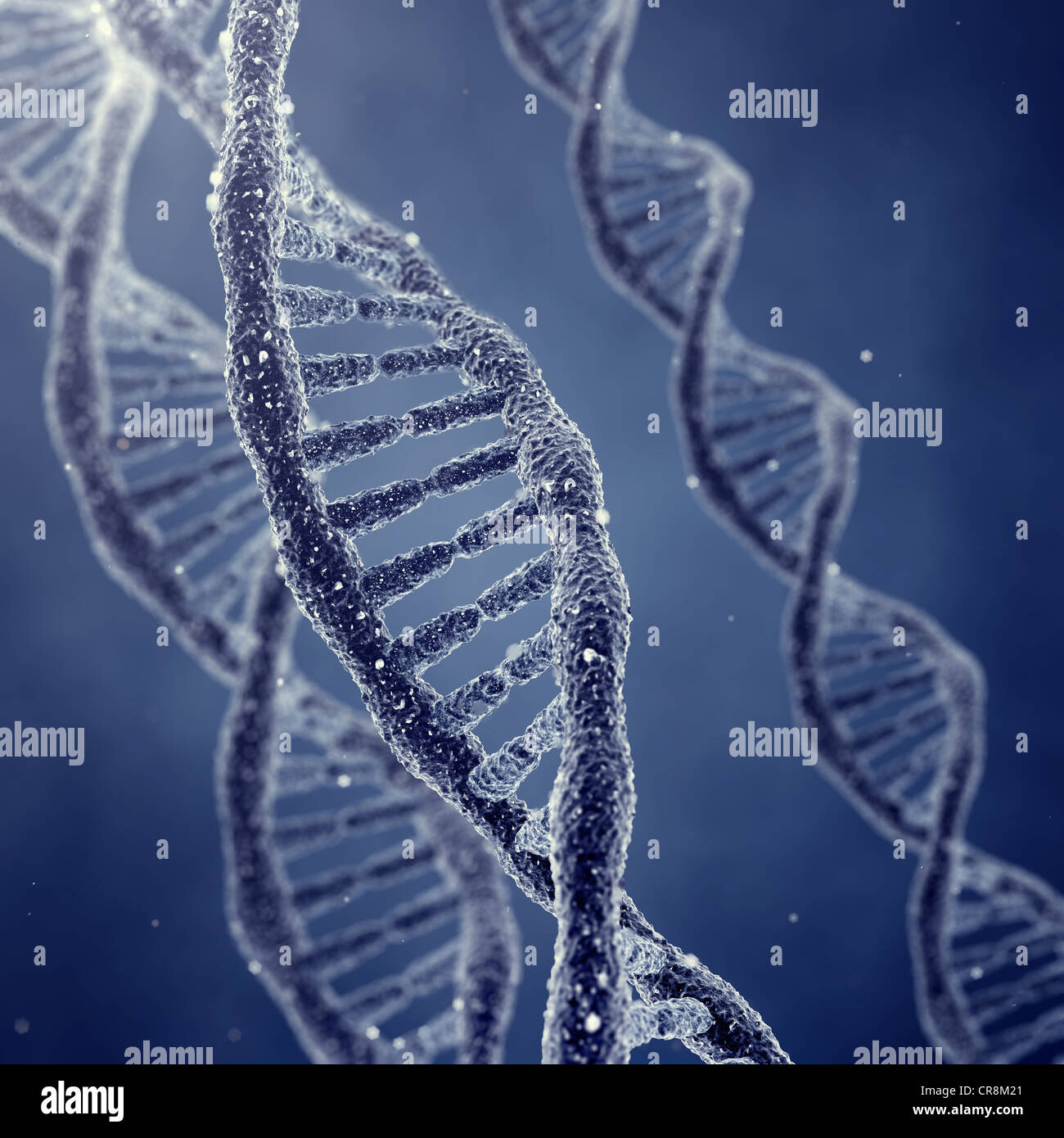 Dna double helix molecules and chromosomes Stock Photo