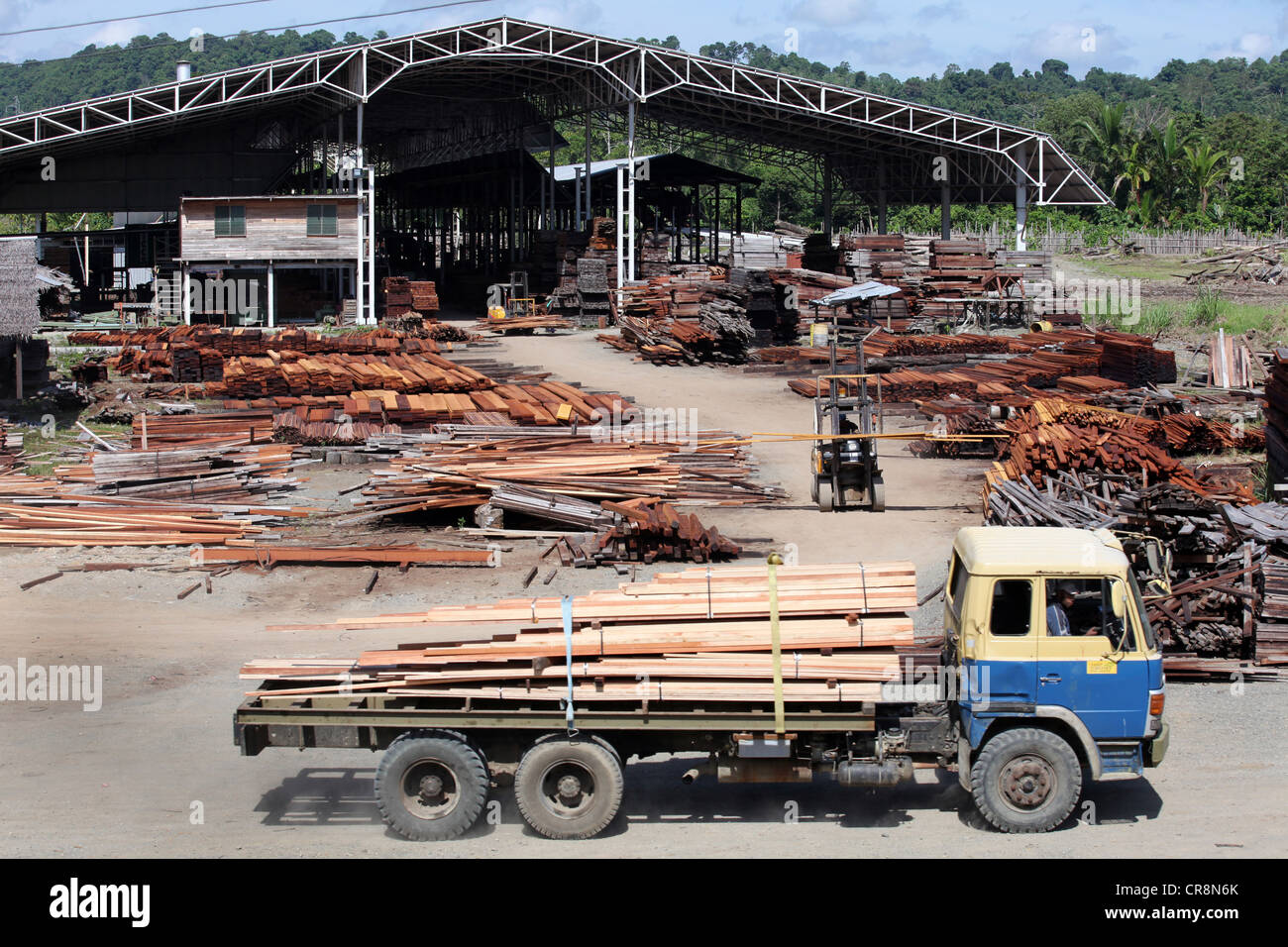 Sawmill, wood processing factory Santi Forestry, Madang, Papua Neuguinea Stock Photo