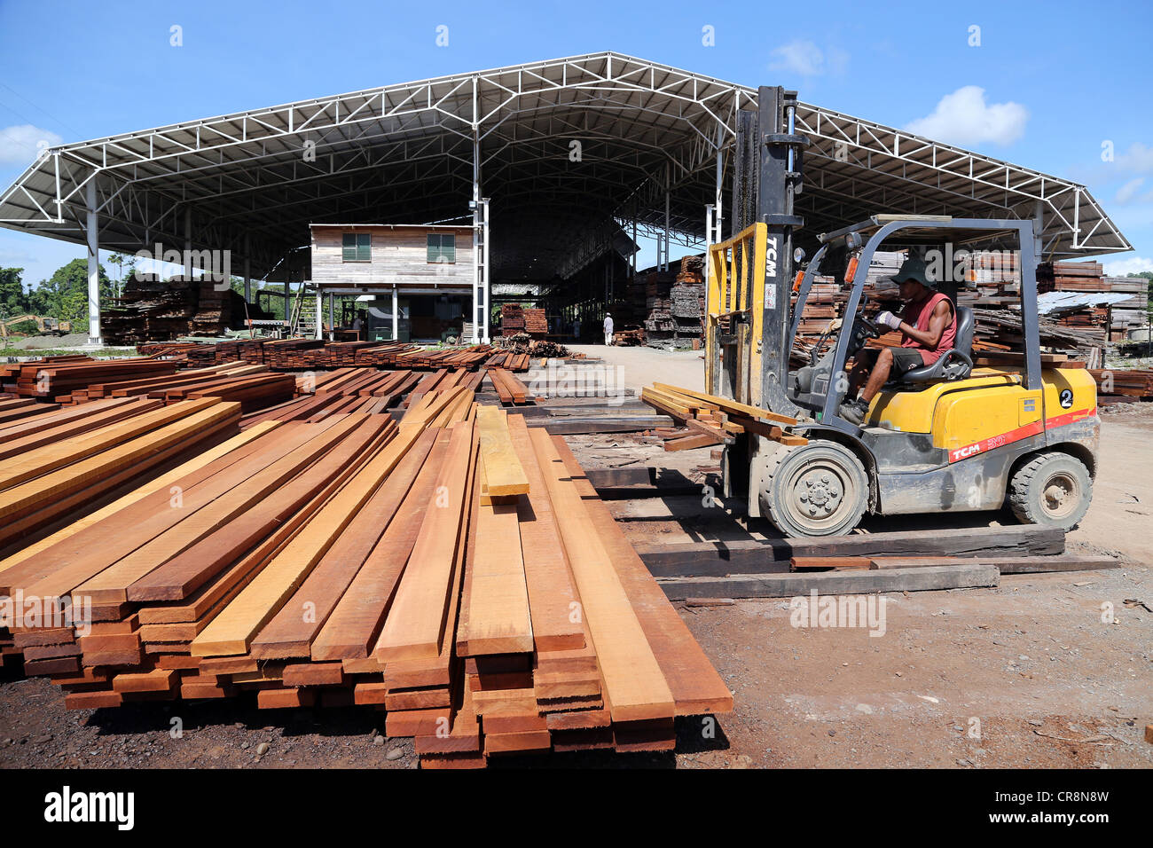 Sawmill, wood processing factory Santi Forestry, Madang, Papua Stock