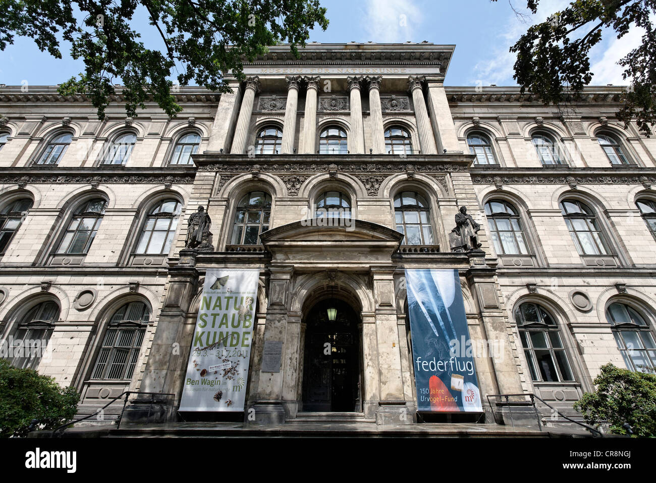 Naturkunde berlin hi-res stock photography and images - Alamy