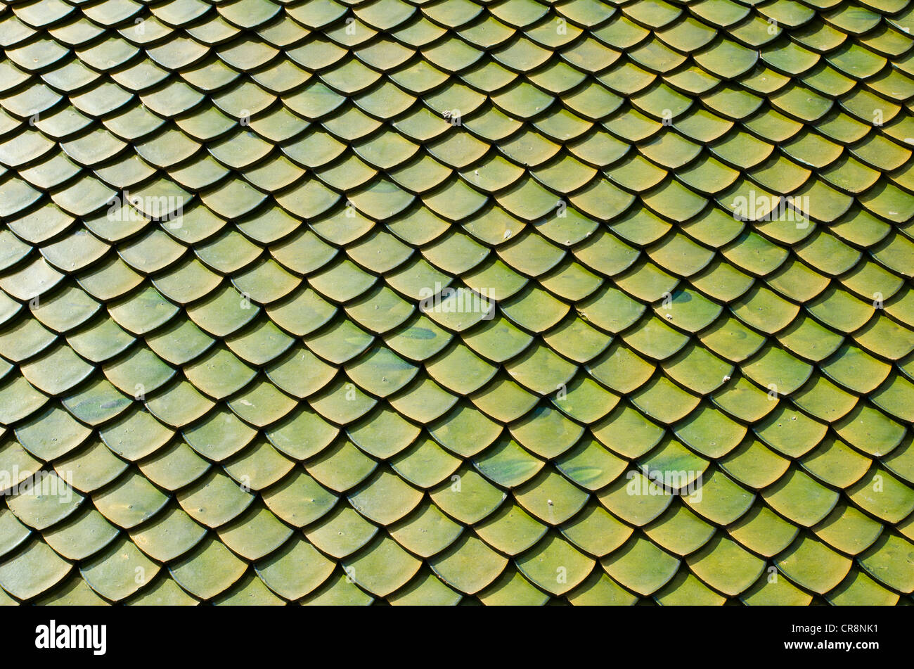 Texture of the green rooftop. Stock Photo