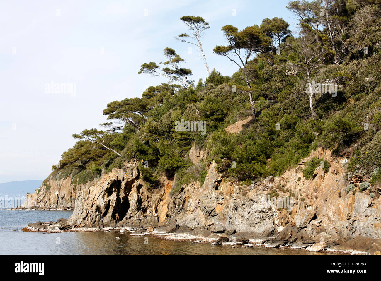 Mediterranean rocky coast in the Port-Cros National Park, Îles d'Hyères islands, Provence-Alpes-Côte d'Azur region, France Stock Photo