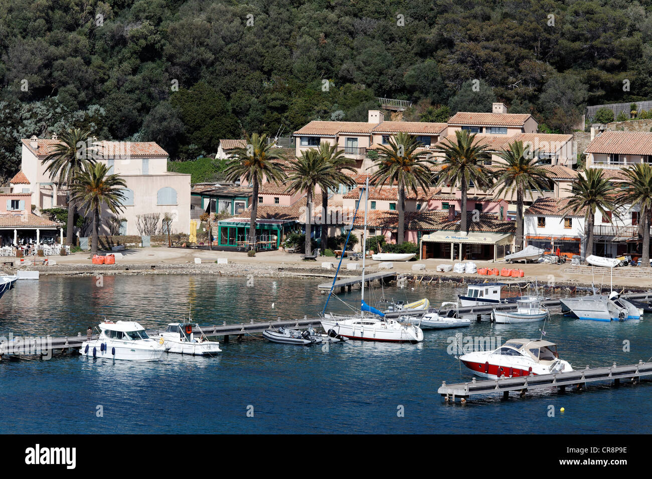 Harbour in the Port-Cros National Park, Iles d'Hyères islands, Provence-Alpes-Côte d'Azur, France, Europe Stock Photo