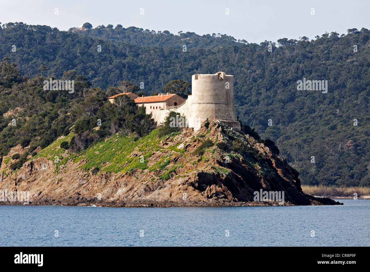 Old fortress of Port-Man on a cliff, Port-Cros National Park, Iles d'Hyères islands, Provence-Alpes-Côte d'Azur, France, Europe Stock Photo