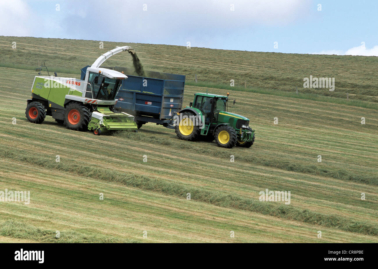 Claas Forage Harvester at work in field Stock Photo Alamy