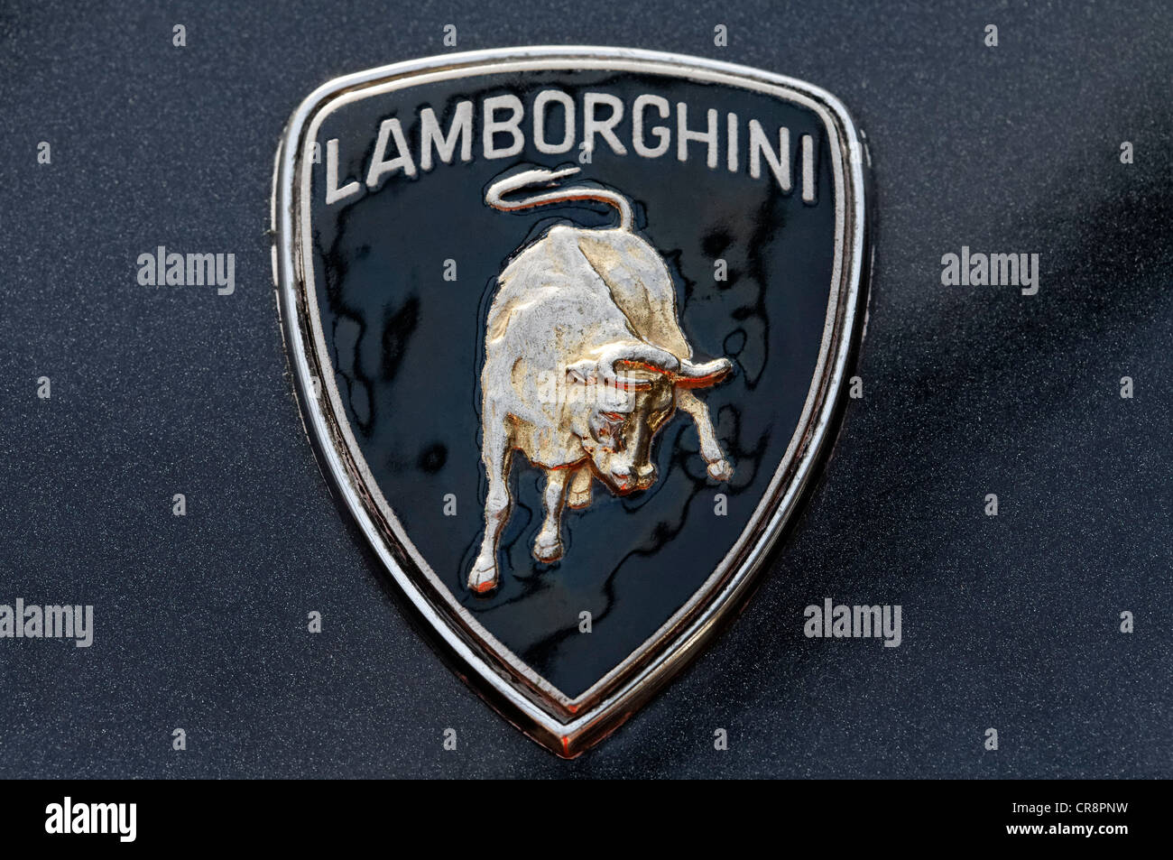 Lamborghini bull logo hi-res stock photography and images - Alamy