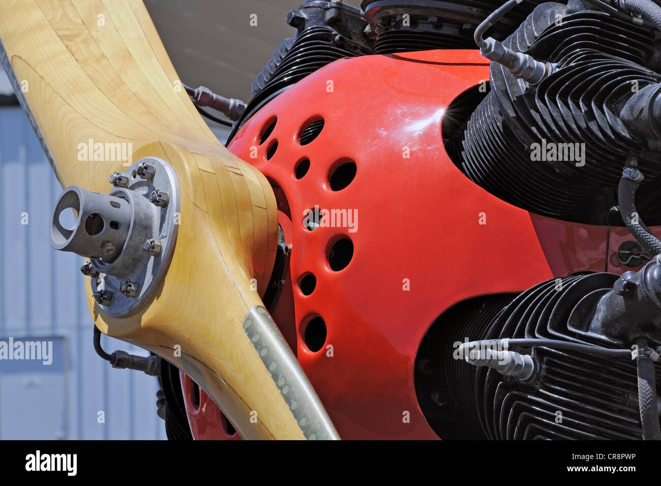 Closeup of wooden propeller and radial engine on fifties era airplane