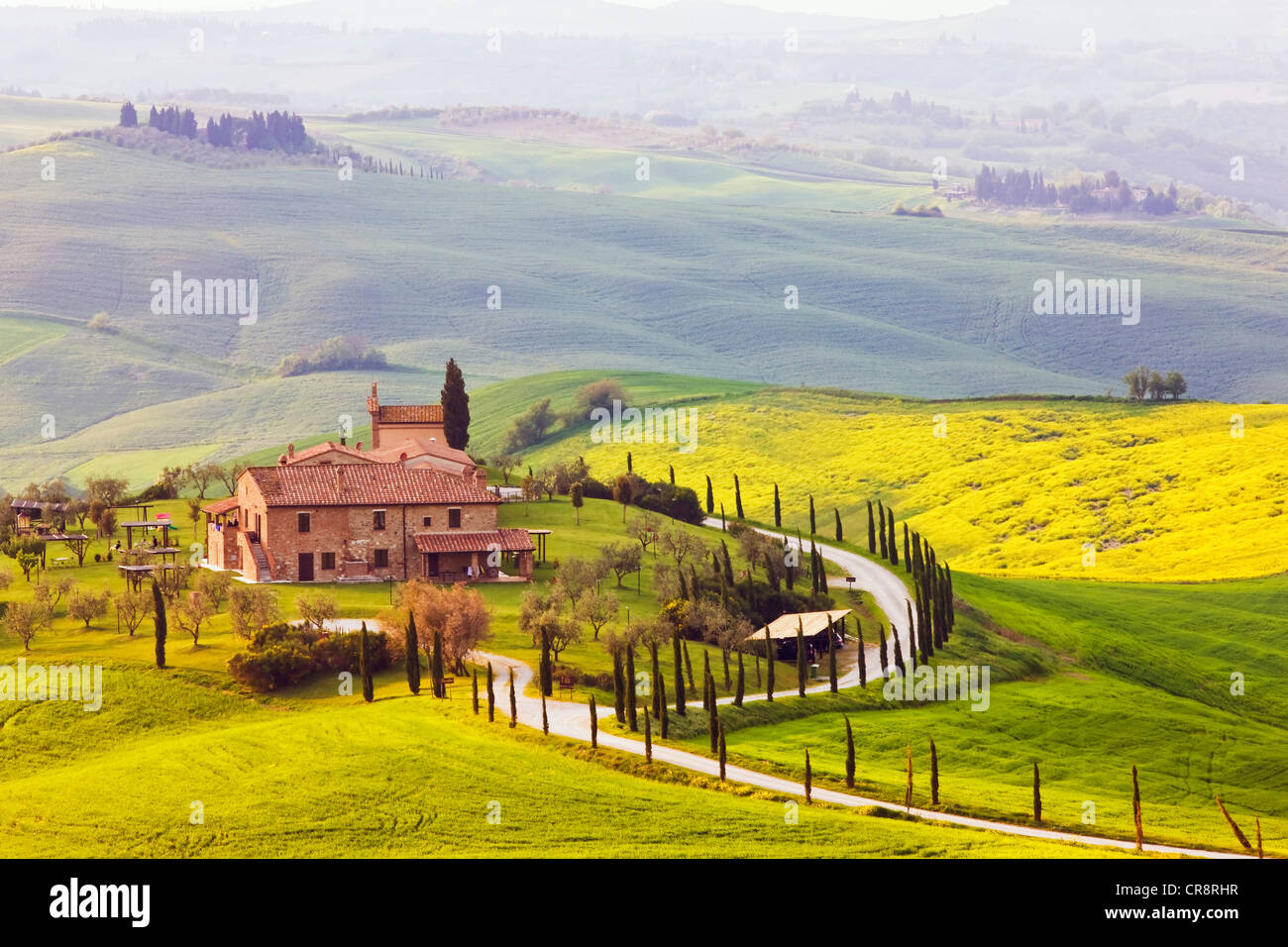 Country house, Asciano, Tuscany, Italy, Europe, PublicGround Stock