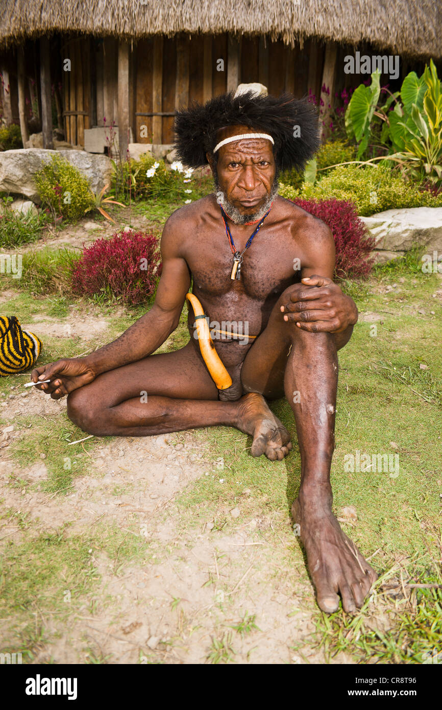 Man from the Dani tribe wearing a penis sheath, Baliem Valley, West Papua,  Western New Guinea, Indonesia, Asia Stock Photo - Alamy