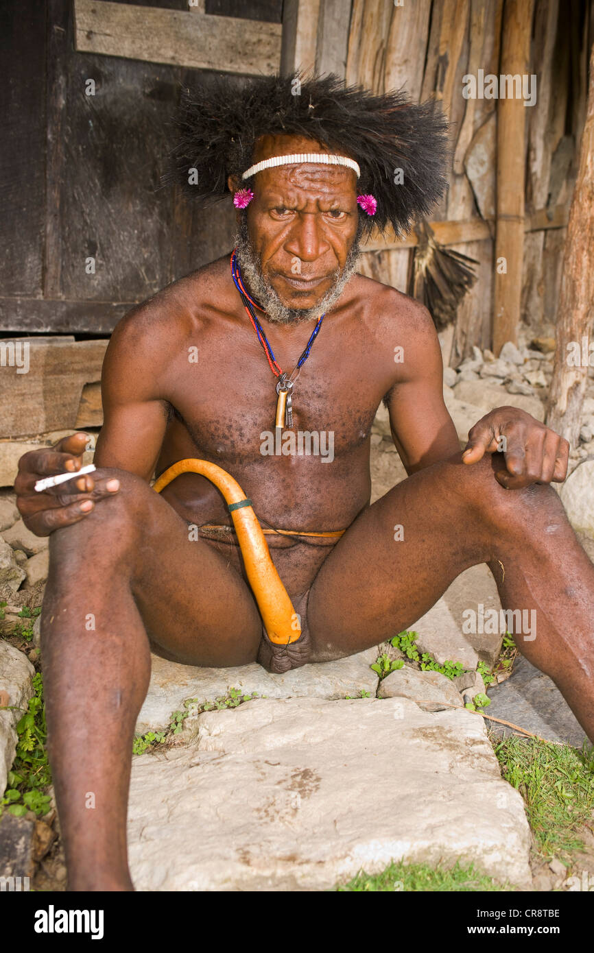 Man from the Dani tribe wearing a penis sheath, Baliem Valley, West Papua,  West New Guinea, Indonesia, Asia Stock Photo - Alamy