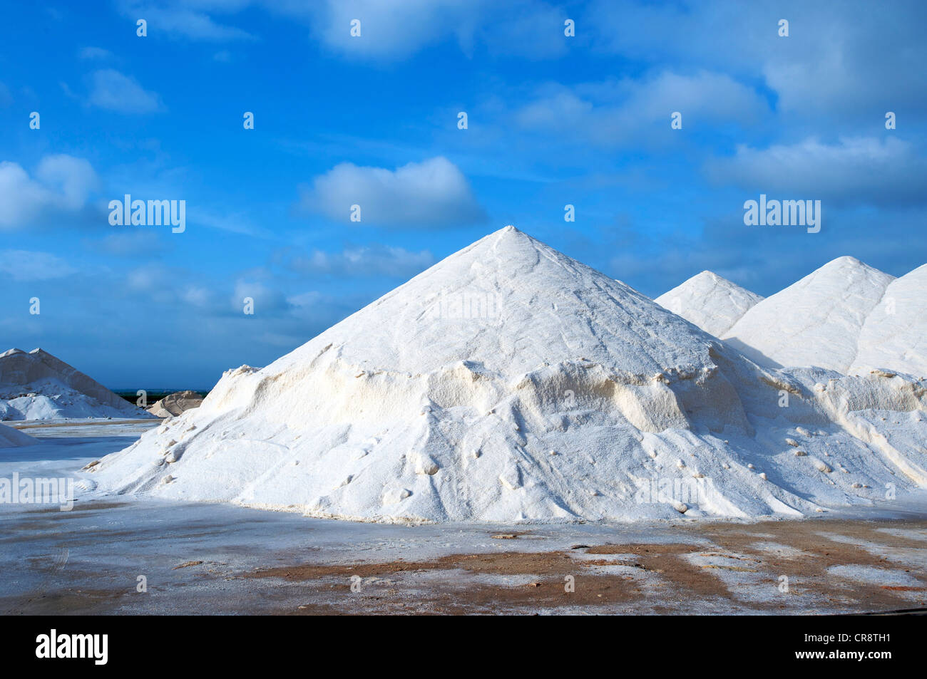 Sea salt in the Salines de Levante near Es Trenc, Majorca, Balearic Islands, Spain, Europe Stock Photo