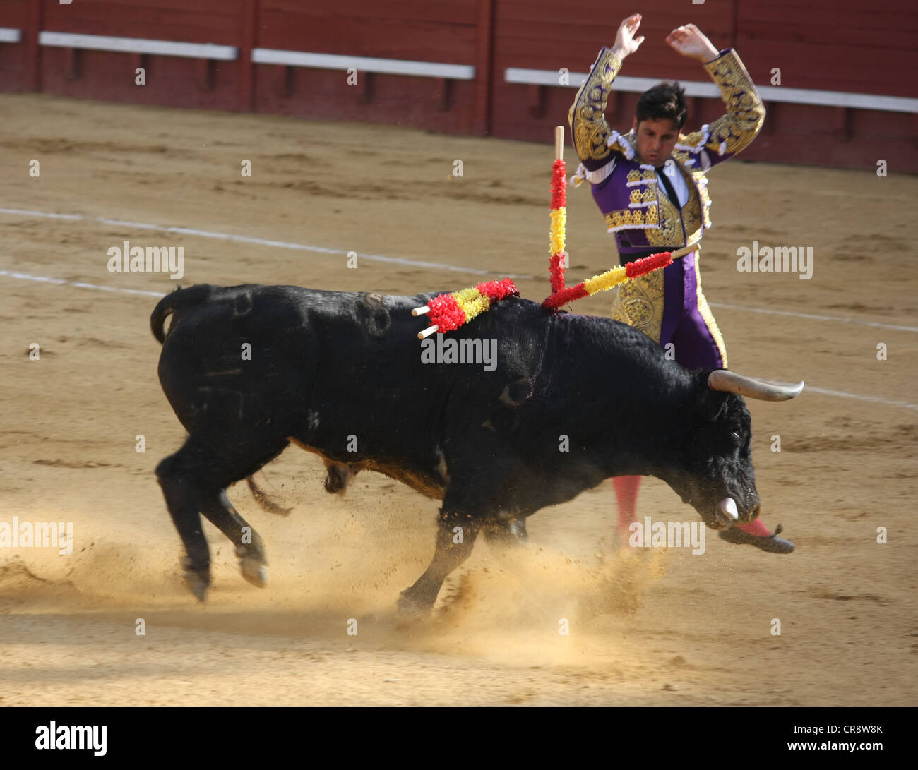 Bullfight in Jerez in Spain Stock Photo