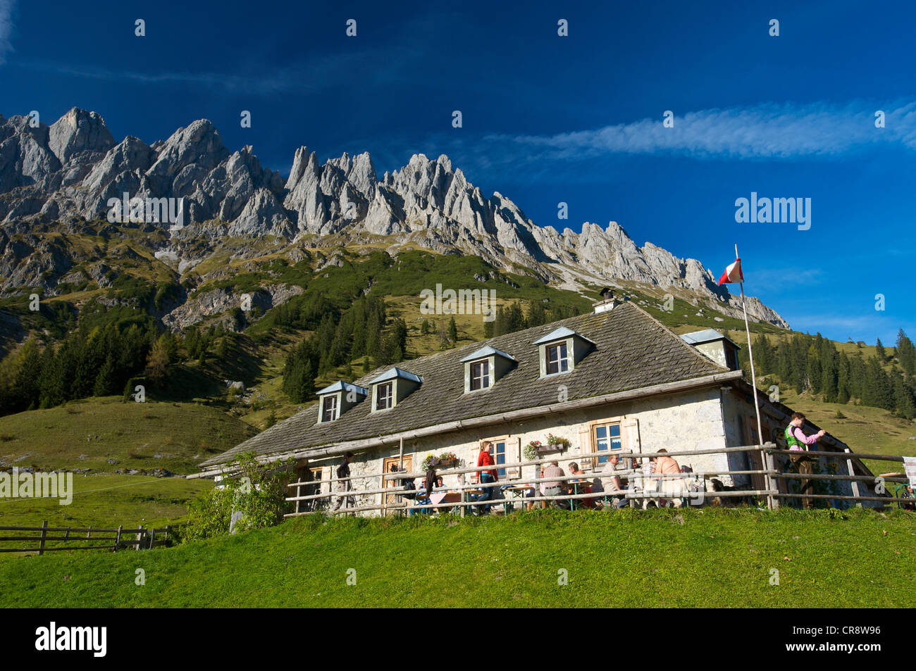 Alpine pasture on Hochkoenig mountain, Pinzgau region, Salzburger Land, Austria, Europe Stock Photo