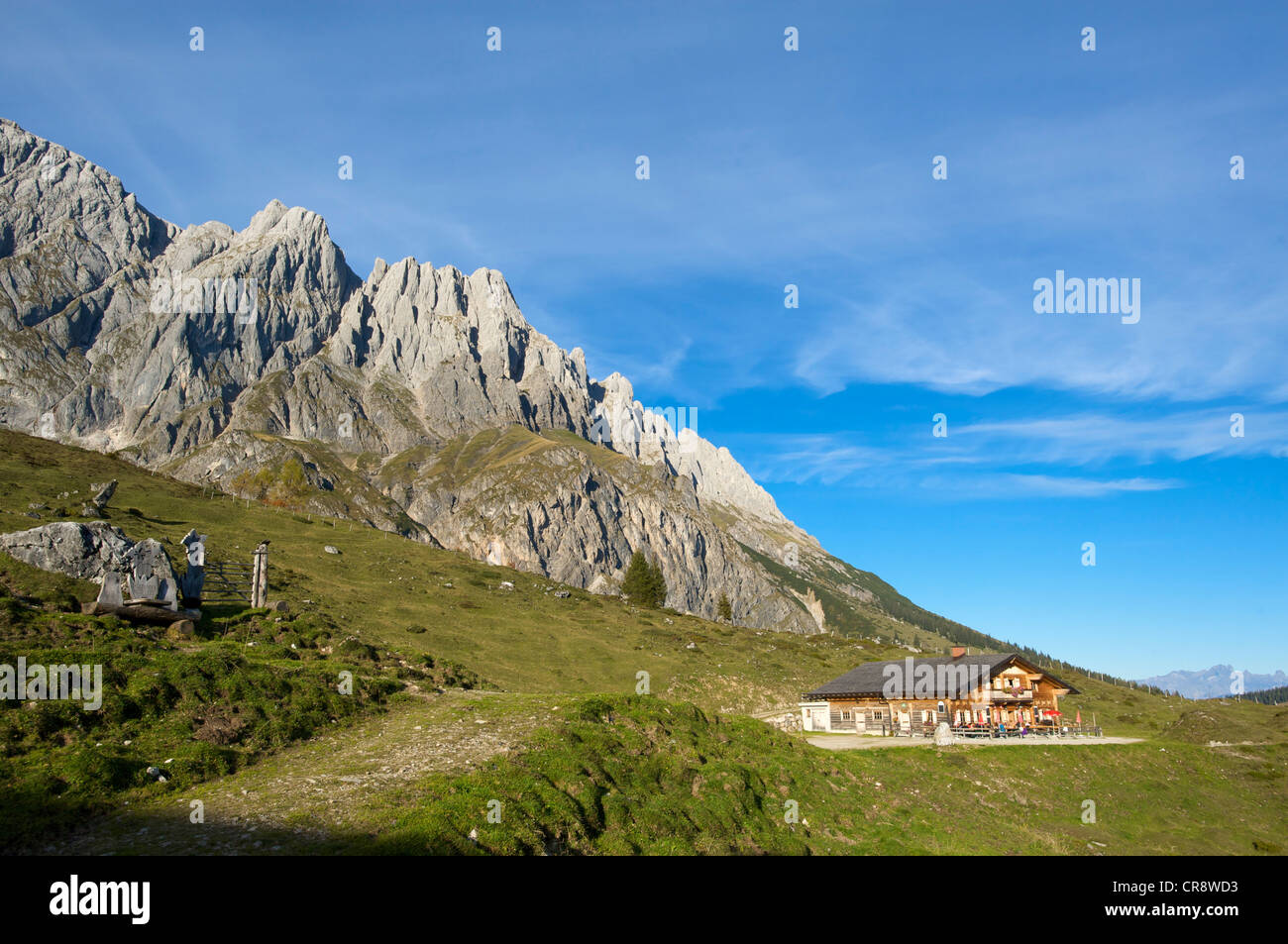 Mountain pasture at Mt Hochkoenig in Pinzgau region near Salzburg, Austria, Europe Stock Photo