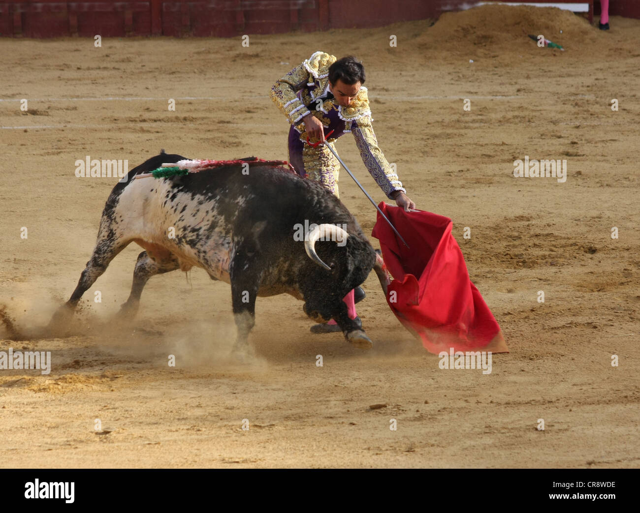 Bullfight in Jerez in Spain Stock Photo