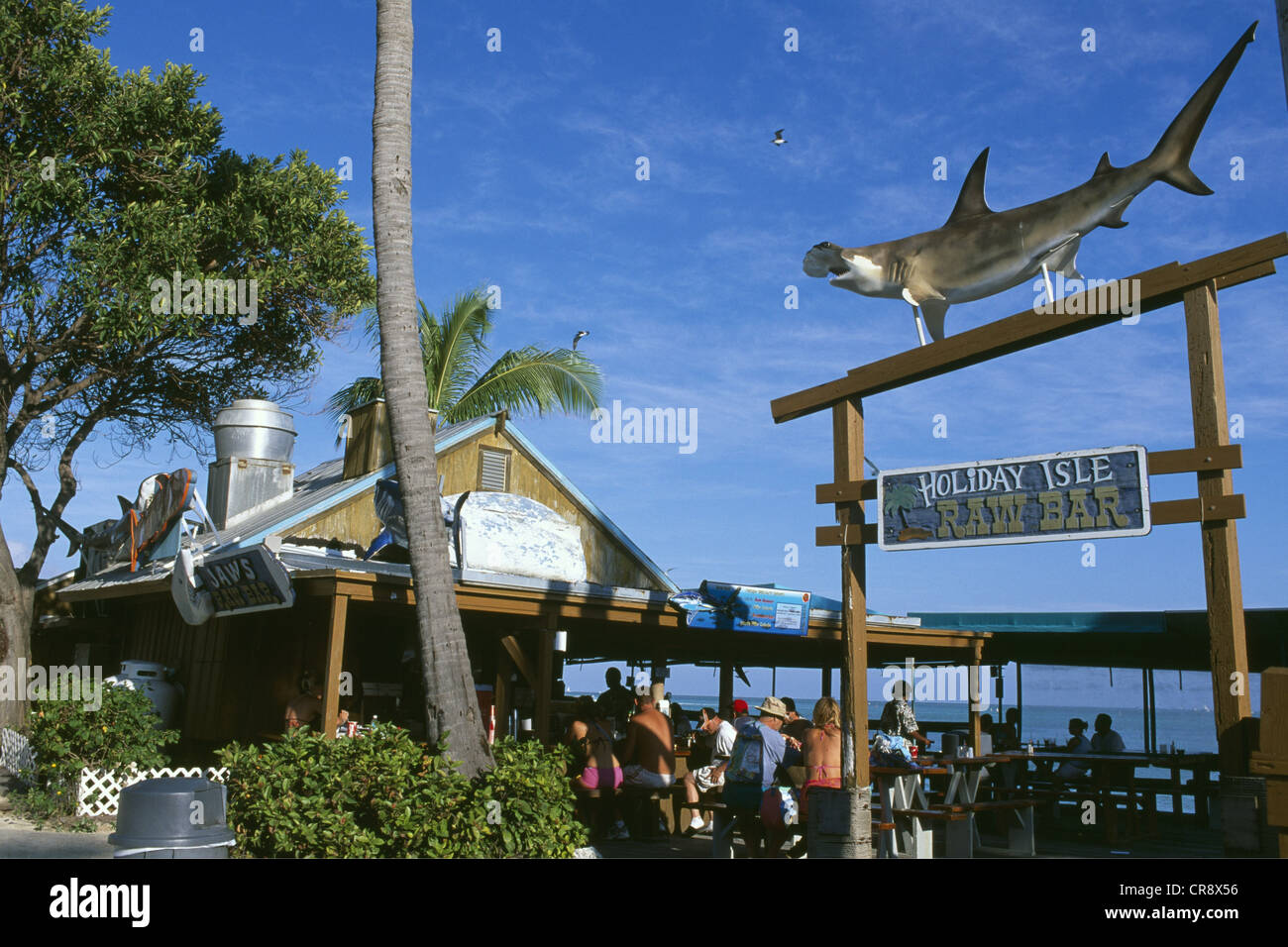 Holiday Isle Resort, decorative hammerhead shark, Key Islamorada, Florida Keys, Florida, USA