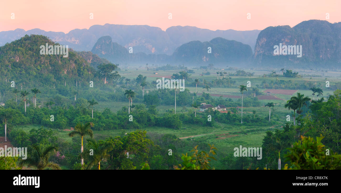 Limestone hill, farming land and village house in morning mist, Vinales Valley, UNESCO World Heritage site, Cuba Stock Photo