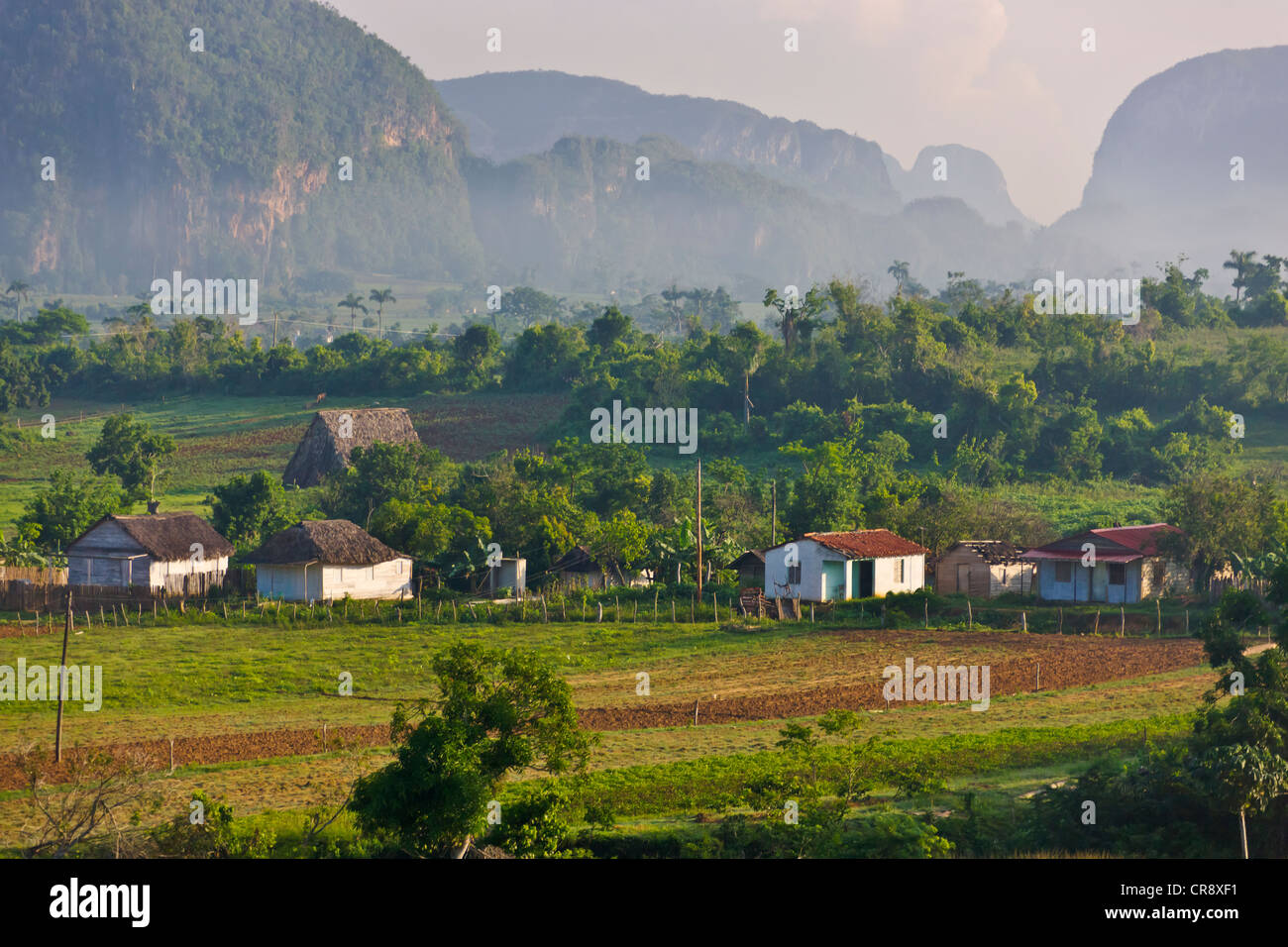 Limestone hill, farming land and village house, Vinales Valley, UNESCO World Heritage site, Cuba Stock Photo