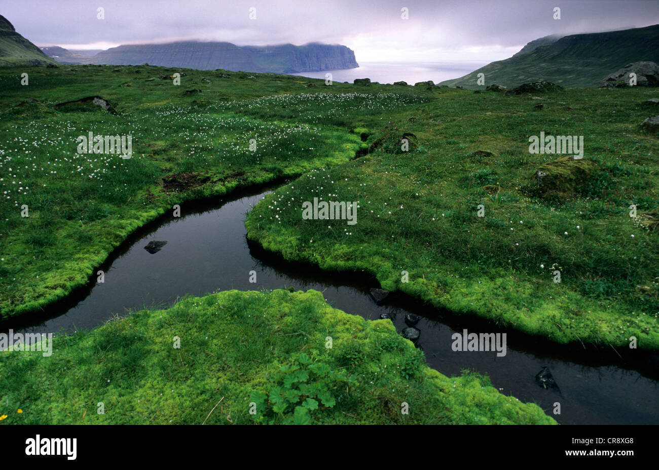 Wetland area near Horn on Hornstrandir peninsula, a hikers' paradise, Hornvik, Hornstrandir region, Westfjords, Iceland, Europe Stock Photo